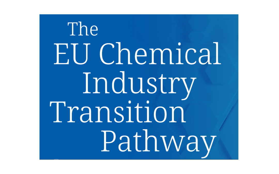 Transition pathway for the chemical industry