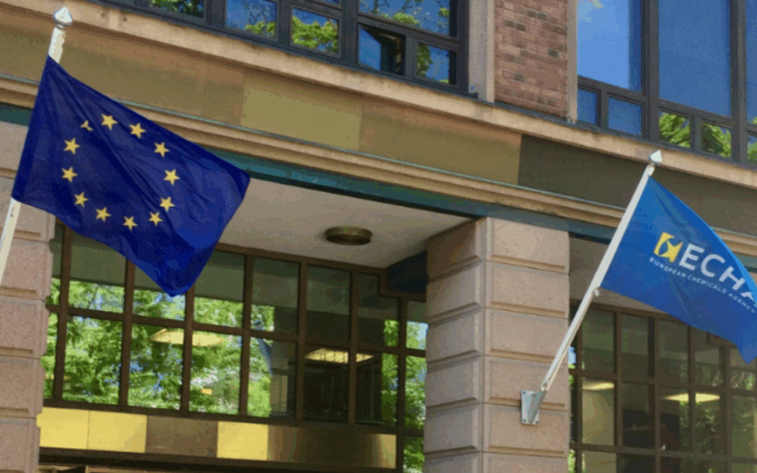 ECHA Launches EU-wide REACH Enforcement Project Focused on Workplace Safety
